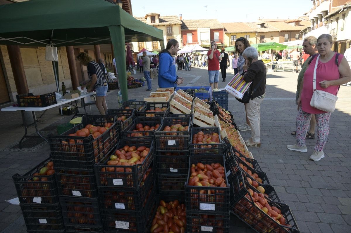 Feria del Tomate en Mansilla de las Mulas. Feria del Tomate en Mansilla de las Mulas.