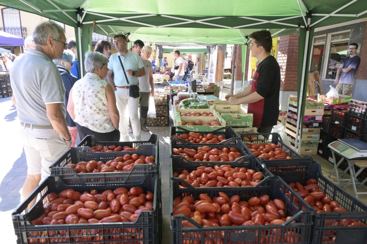 Feria del Tomate en Mansilla de las Mulas. Feria del Tomate en Mansilla de las Mulas.