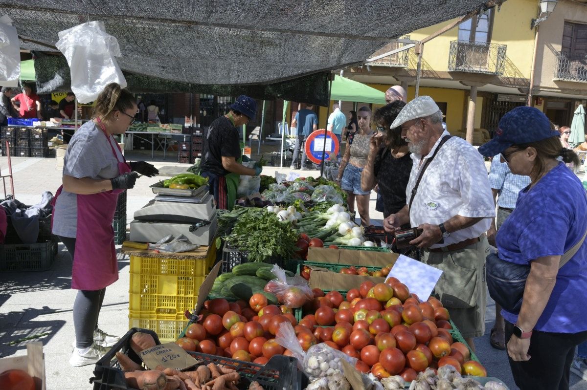 Feria del Tomate en Mansilla de las Mulas. Feria del Tomate en Mansilla de las Mulas.