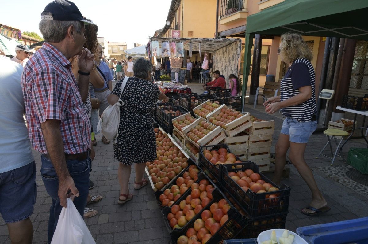 Feria del Tomate en Mansilla de las Mulas. Feria del Tomate en Mansilla de las Mulas.