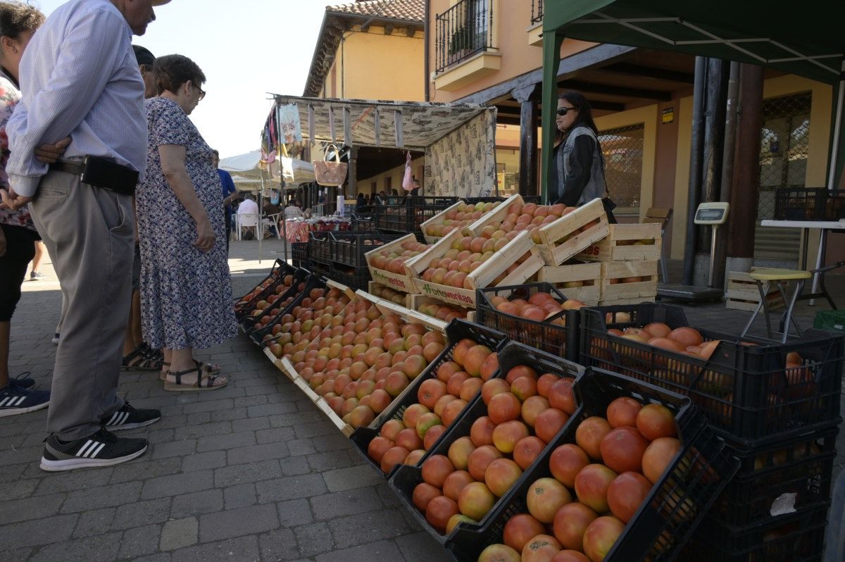 Feria del Tomate en Mansilla de las Mulas. Feria del Tomate en Mansilla de las Mulas.