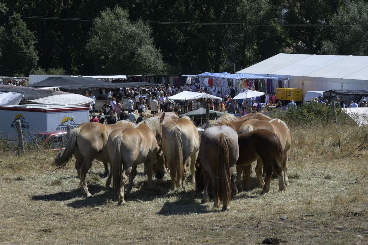 Feria del caballo Hispano Breton de San Emiliano 01 Feria del caballo Hispano Breton de San Emiliano 01