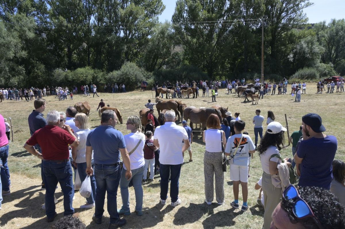 Feria del caballo Hispano Breton de San Emiliano 04 Feria del caballo Hispano Breton de San Emiliano 04