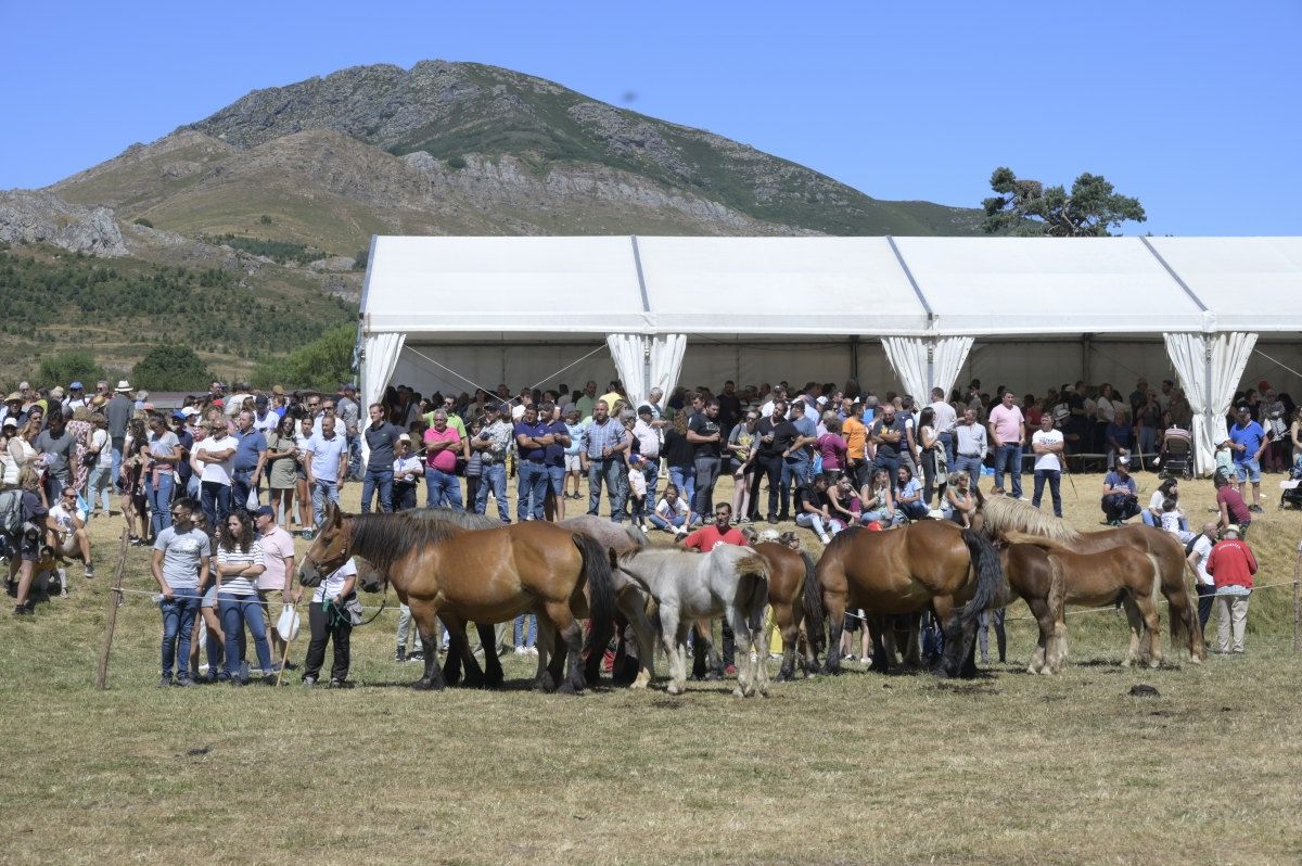 Feria del caballo Hispano Breton de San Emiliano 08 Feria del caballo Hispano Breton de San Emiliano 08