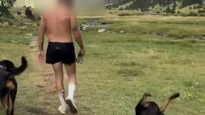 Imagen de los perros sueltos y sin bozal. | L.N.C. Imagen de los perros sueltos y sin bozal. | L.N.C.