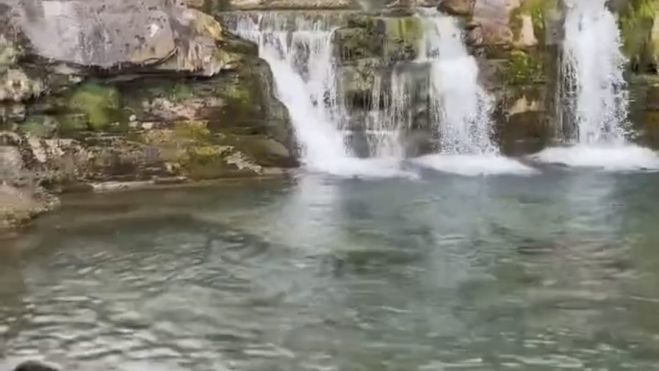 Los perros bañándose en el Parque Nacional. |L.N.C. Los perros bañándose en el Parque Nacional. |L.N.C.