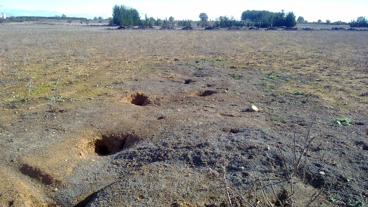 Estado actual del terreno, en el que se aprecia que si excava, salen los materiales enterrados. | ECOLOGISTAS