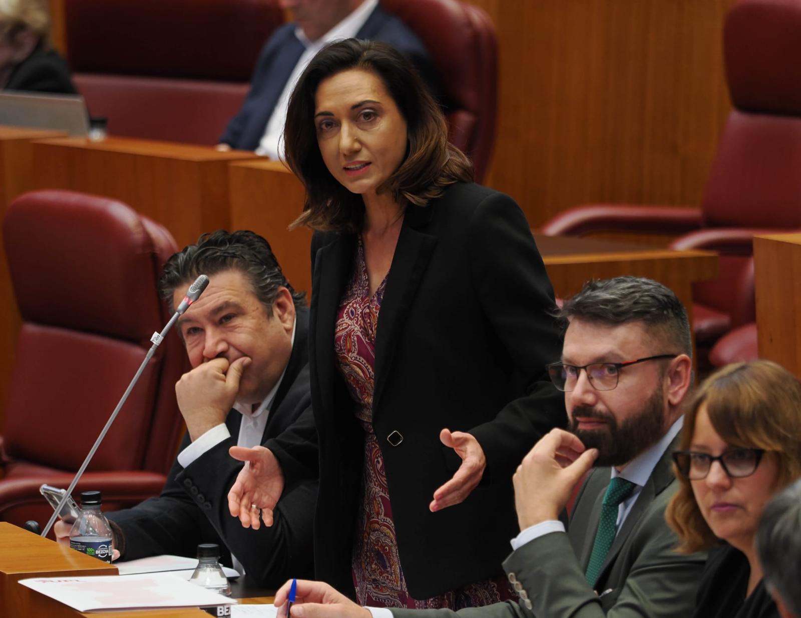 La procuradora de UPL, Alicia Gallego, en un pleno de las Cortes de Castilla y León. | ICAL
