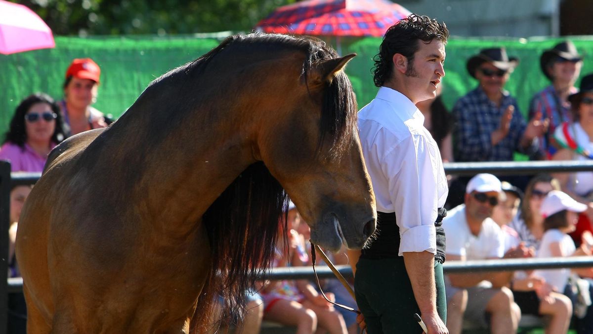 Feria del Caballo de Camponaraya, imagen de archivo. | CÉSAR SÁNCHEZ (ICAL)