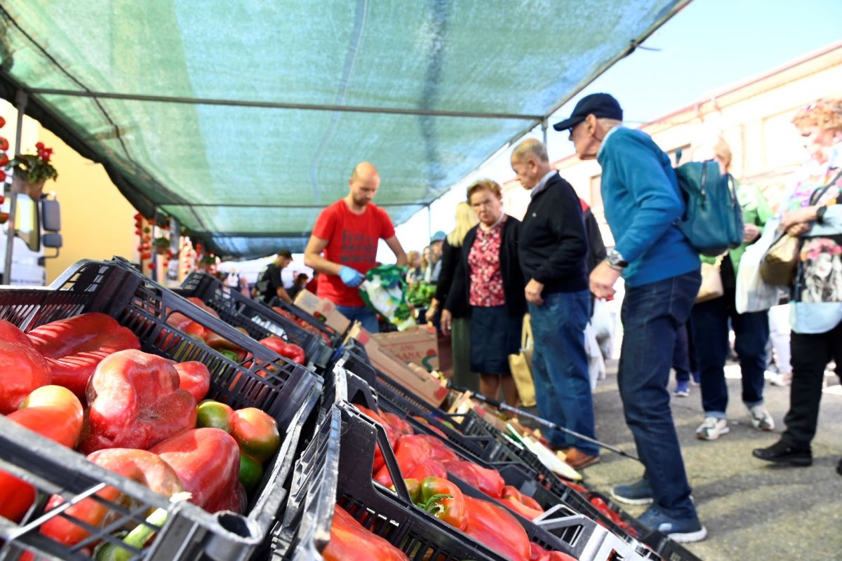 Feria del Pimiento Morrón 2024 Fresno de la Vega 3 Feria del Pimiento Morrón 2024 Fresno de la Vega 3