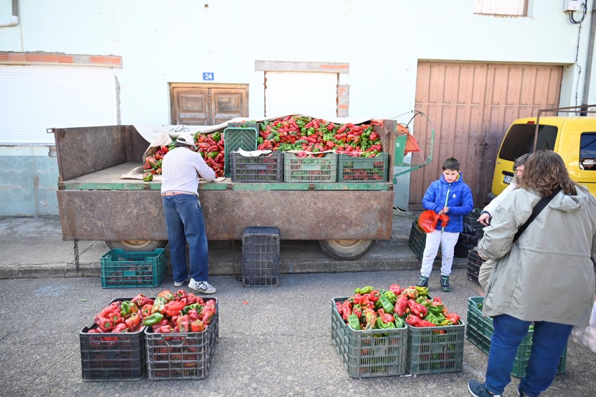 Feria del Pimiento Morrón 2024 Fresno de la Vega 5 Feria del Pimiento Morrón 2024 Fresno de la Vega 5