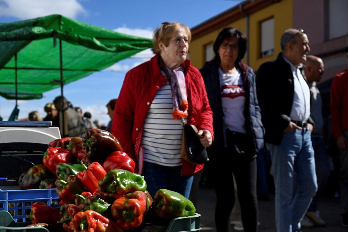 Feria del Pimiento Morrón 2024 Fresno de la Vega 12 Feria del Pimiento Morrón 2024 Fresno de la Vega 12