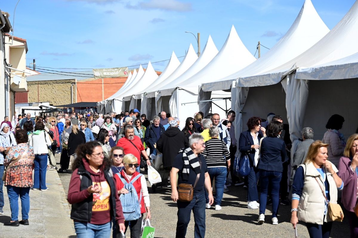 Feria del Pimiento Morrón 2024 Fresno de la Vega 14 Feria del Pimiento Morrón 2024 Fresno de la Vega 14