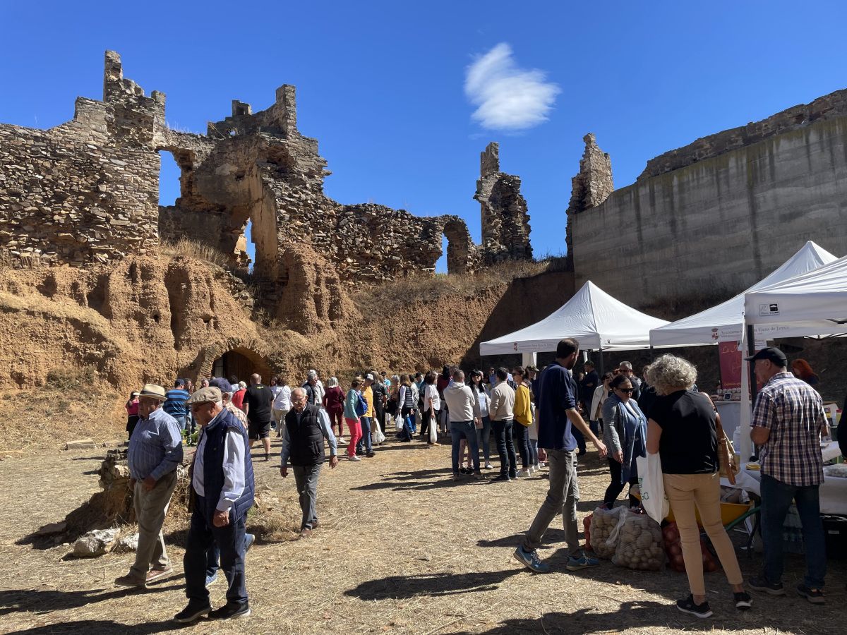 IV Feria de la Cebolla Villanueva de Jamuz 1