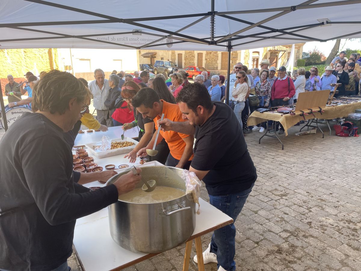 IV Feria de la Cebolla Villanueva de Jamuz 5