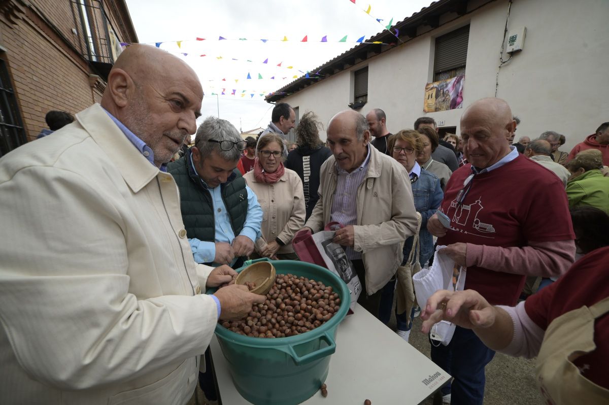 Lluvia de avellanas de La Cañamona. Lluvia de avellanas de La Cañamona.