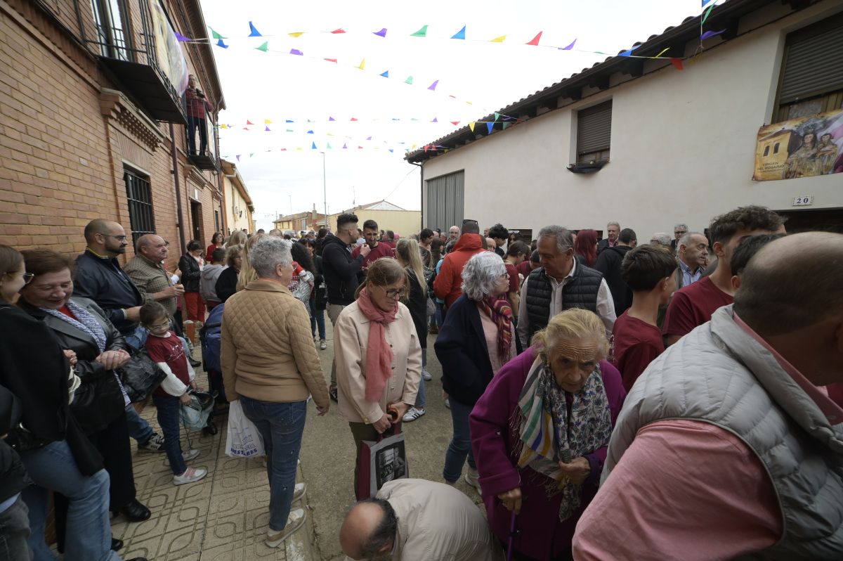 Lluvia de avellanas de La Cañamona. Lluvia de avellanas de La Cañamona.