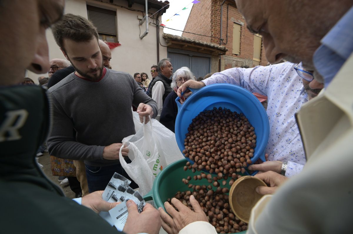 Lluvia de avellanas de La Cañamona. Lluvia de avellanas de La Cañamona.