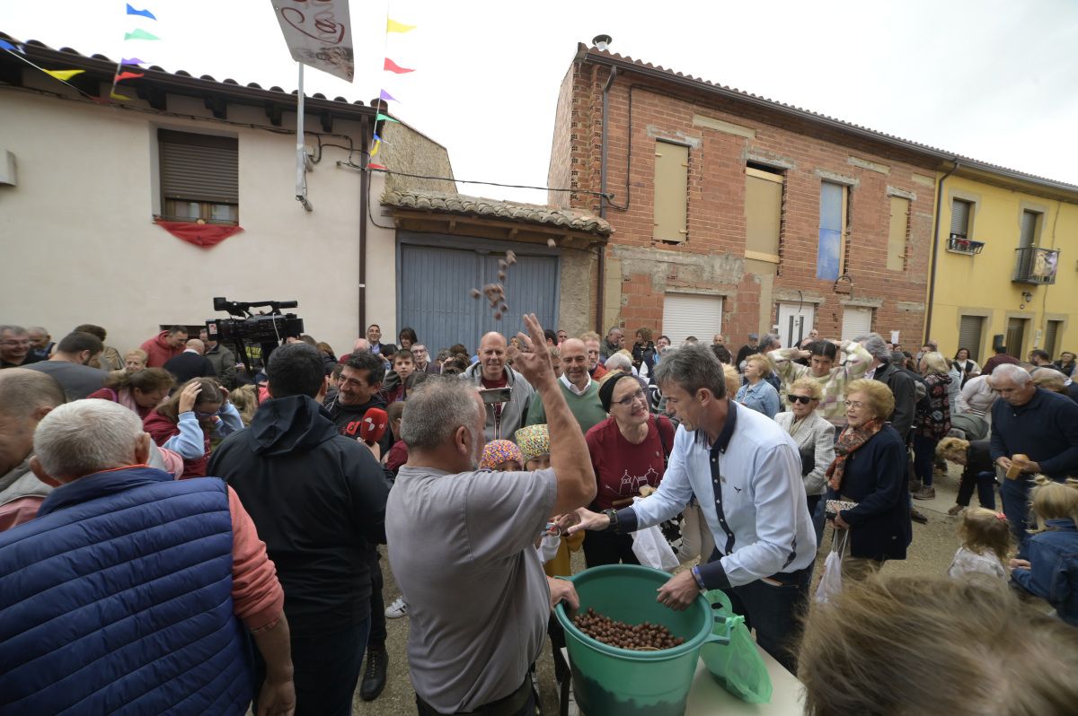 Lluvia de avellanas de La Cañamona. Lluvia de avellanas de La Cañamona.