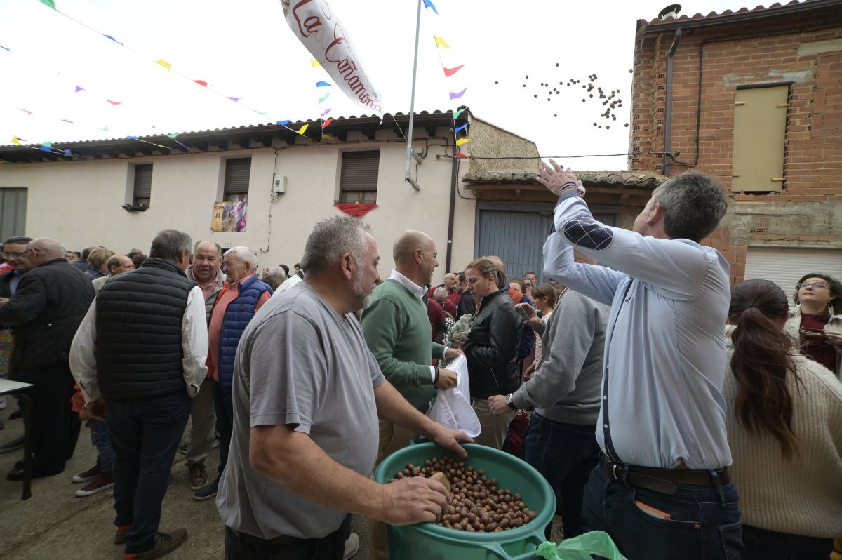 Lluvia de avellanas de La Cañamona. Lluvia de avellanas de La Cañamona.