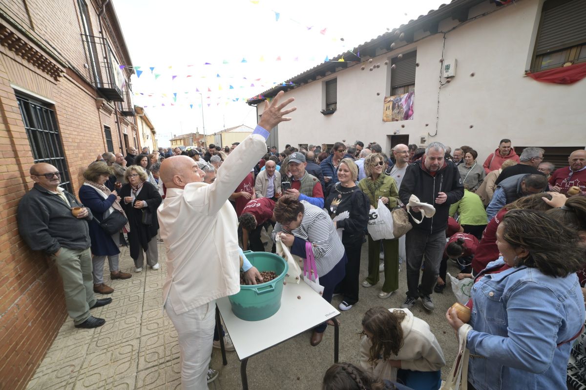 Lluvia de avellanas de La Cañamona. Lluvia de avellanas de La Cañamona.