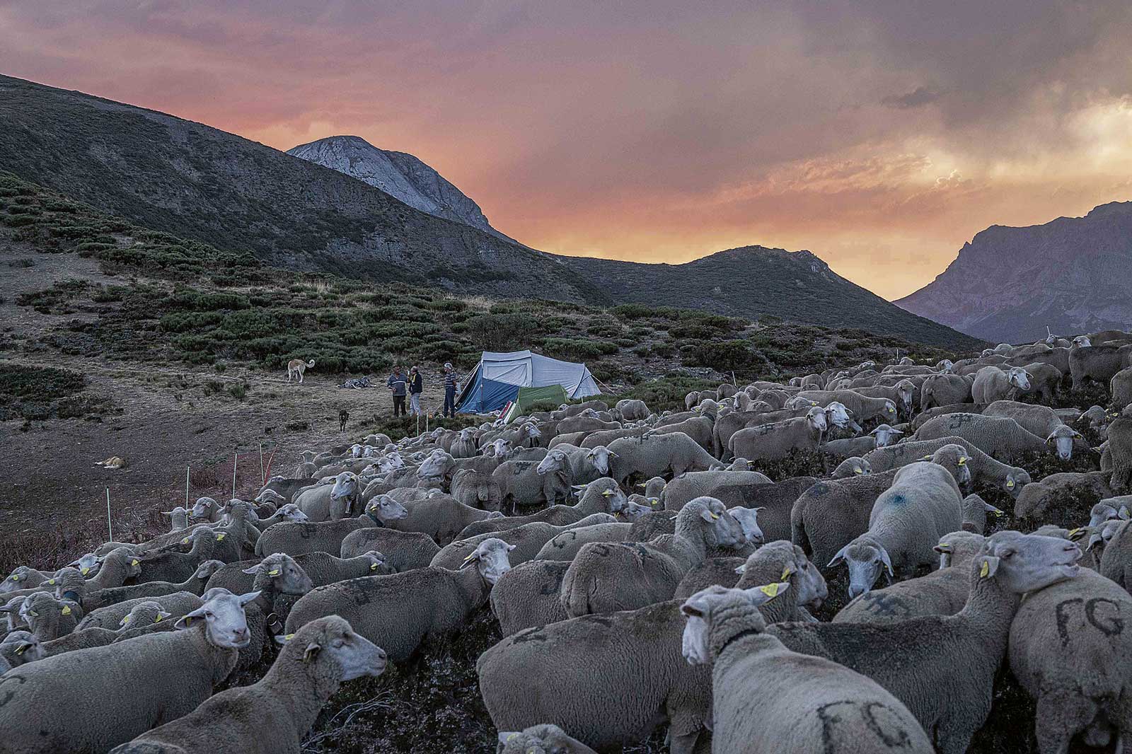 Un fotograma del documental 'Los guardianes del Puerto de Pandetrave'. | JORGE CONTRERAS