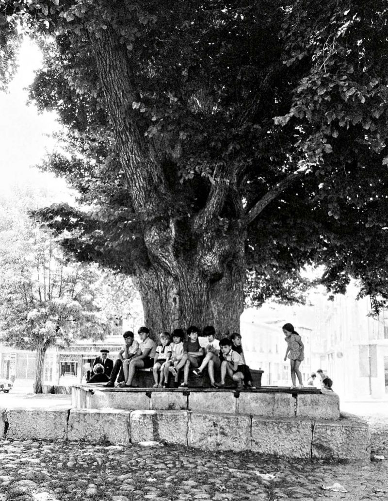 Muchas generaciones se reunieron en torno al negrillón. | FERNANDO RUBIO Muchas generaciones se reunieron en torno al negrillón. | FERNANDO RUBIO