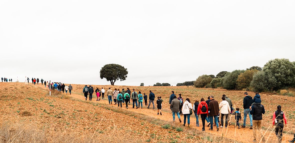 Una edición anterior del Evento Almendro en Vile La Finca. | VILE Una edición anterior del Evento Almendro en Vile La Finca. | VILE
