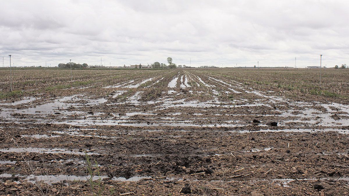 Las tierras anegadas han imposibilitado que los agricultores inicien las tareas de preparación de la siembra. | T. G.