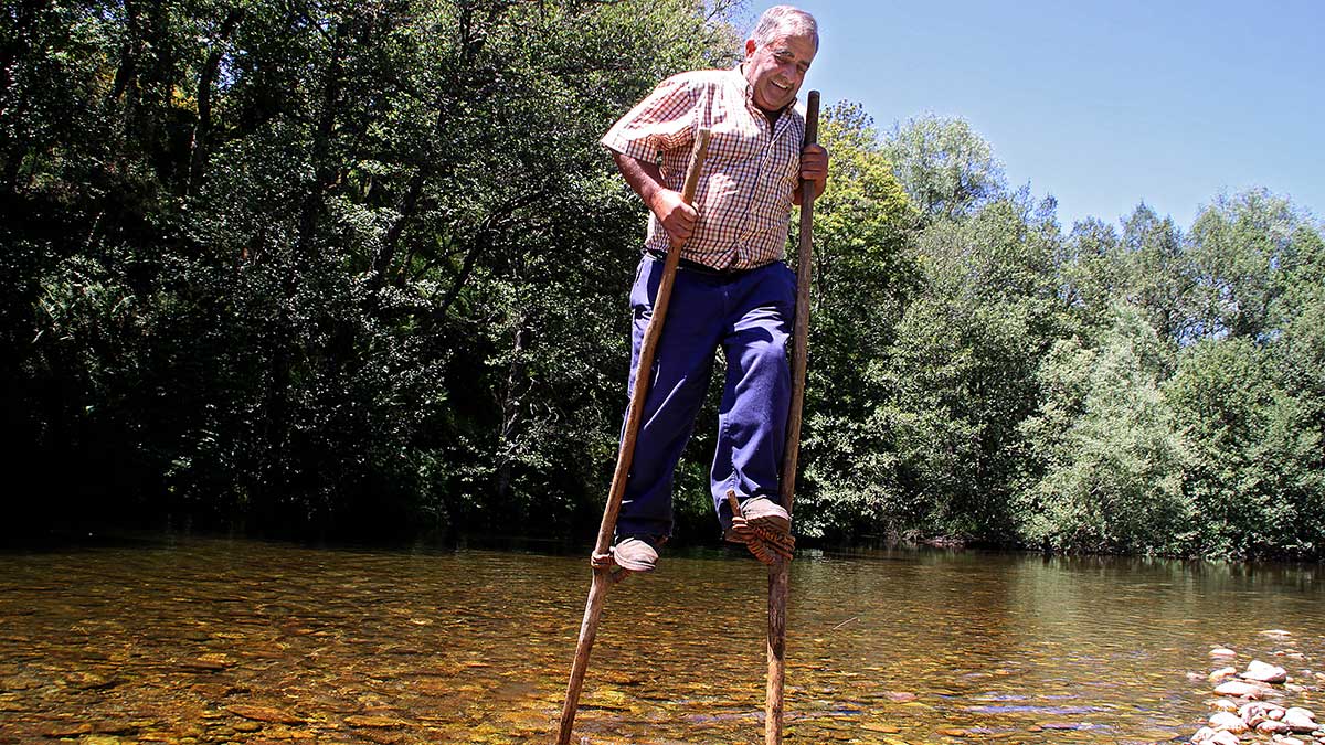 Pepín, presidente de la Junta Vecinal de Trascastro de Luna (León), utiliza unas zancas para atravesar el río Omaña. | PEIO GARCÍA (ICAL)