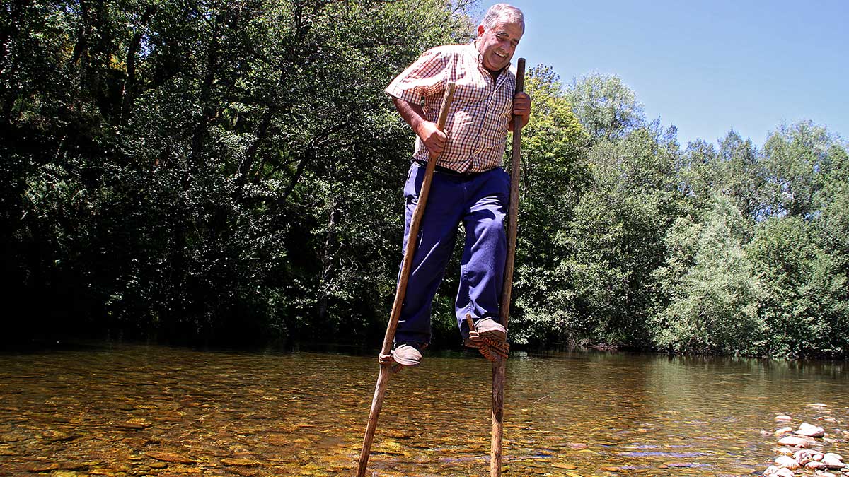 Pepín, presidente de la Junta Vecinal de Trascastro de Luna (León), utiliza unas zancas para atravesar el río Omaña. | PEIO GARCÍA (ICAL)