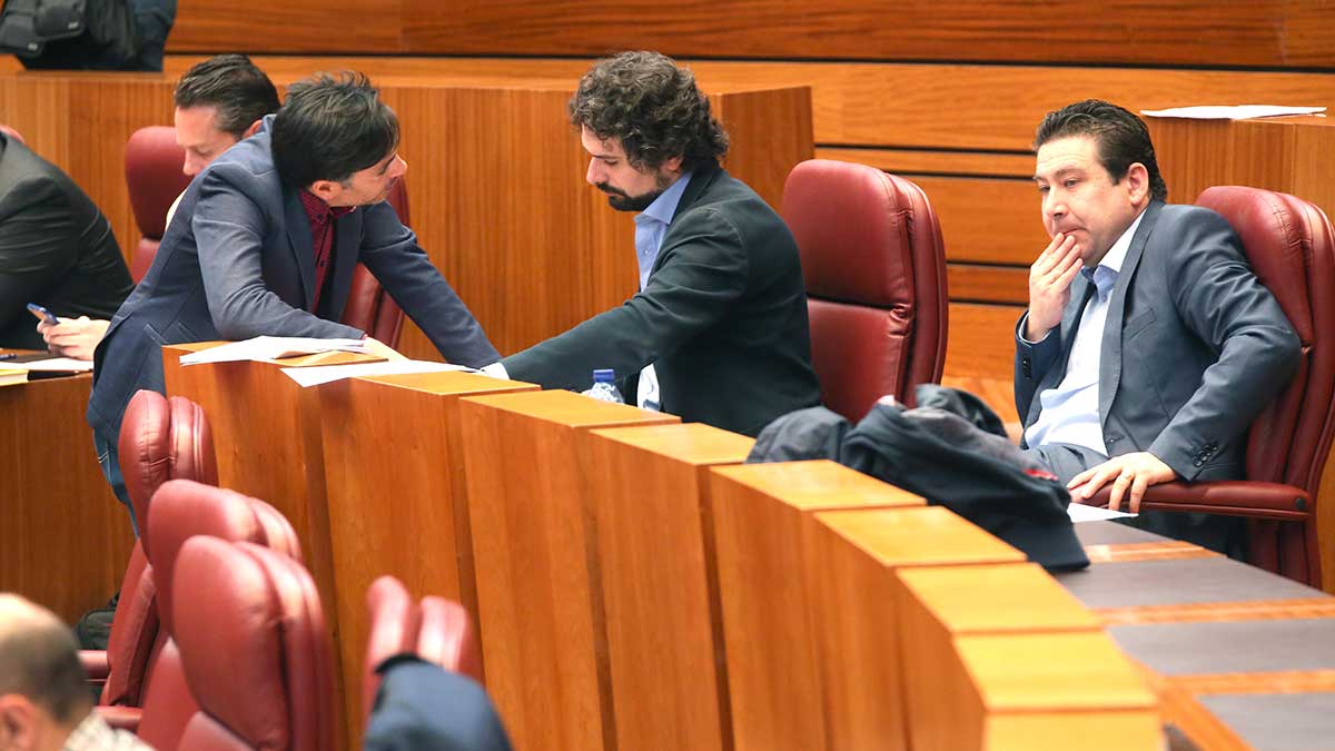 Luis Mariano Santos durante el pleno. | ICAL