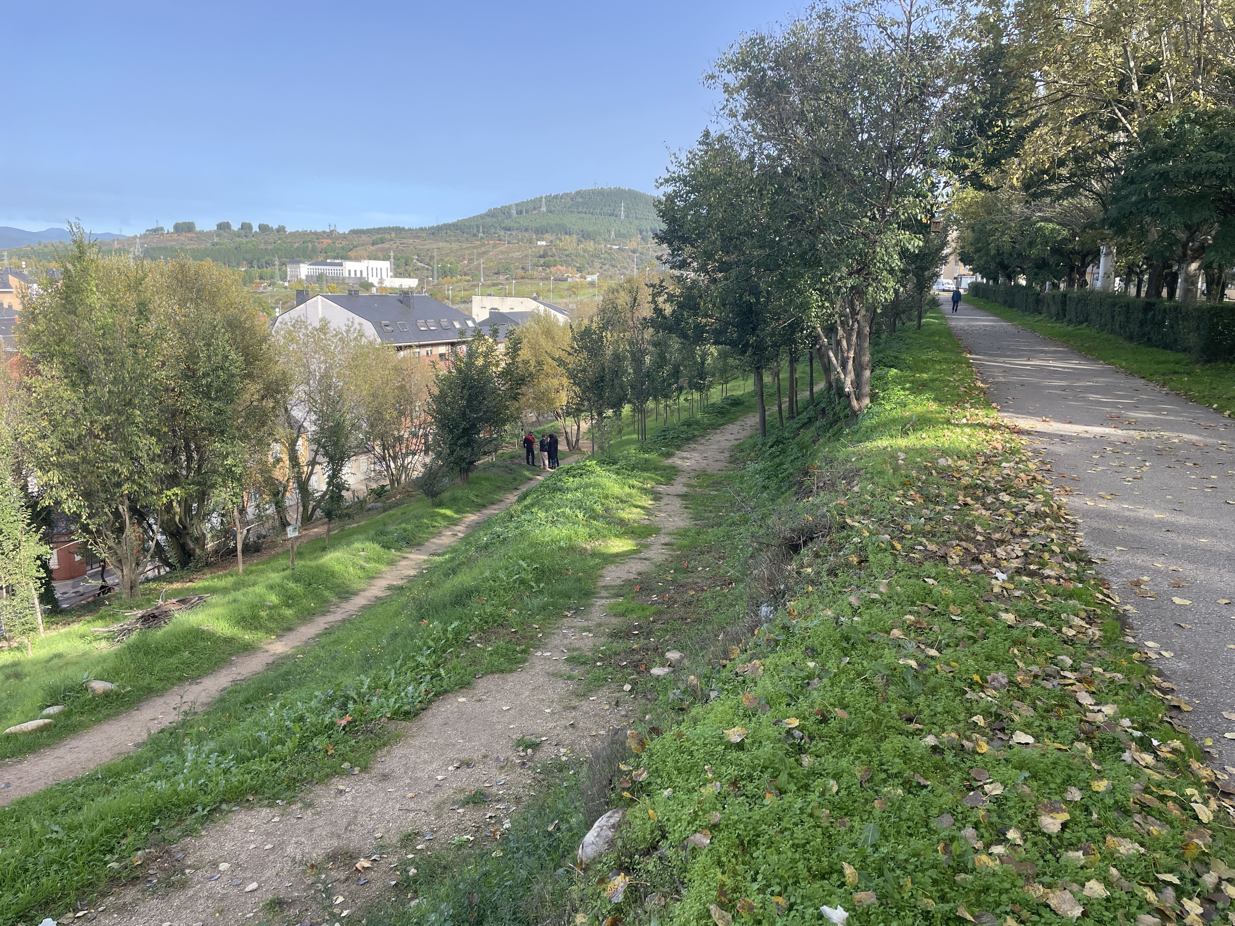 Nueva apariencia de la ladera del Parque del Plantío. | JAVIER FERNÁNDEZ Nueva apariencia de la ladera del Parque del Plantío. | JAVIER FERNÁNDEZ
