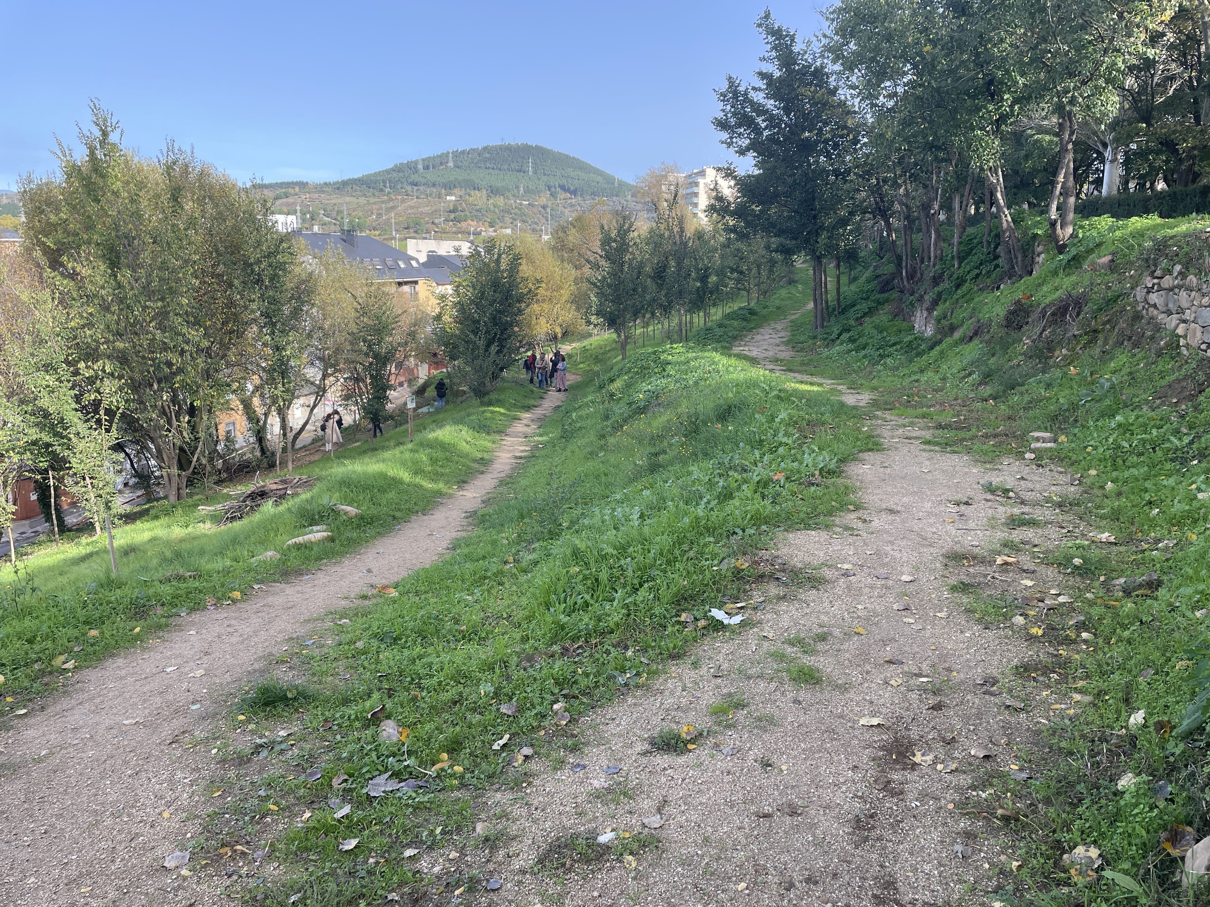Nueva apariencia de la ladera del Parque del Plantío. | JAVIER FERNÁNDEZ Nueva apariencia de la ladera del Parque del Plantío. | JAVIER FERNÁNDEZ