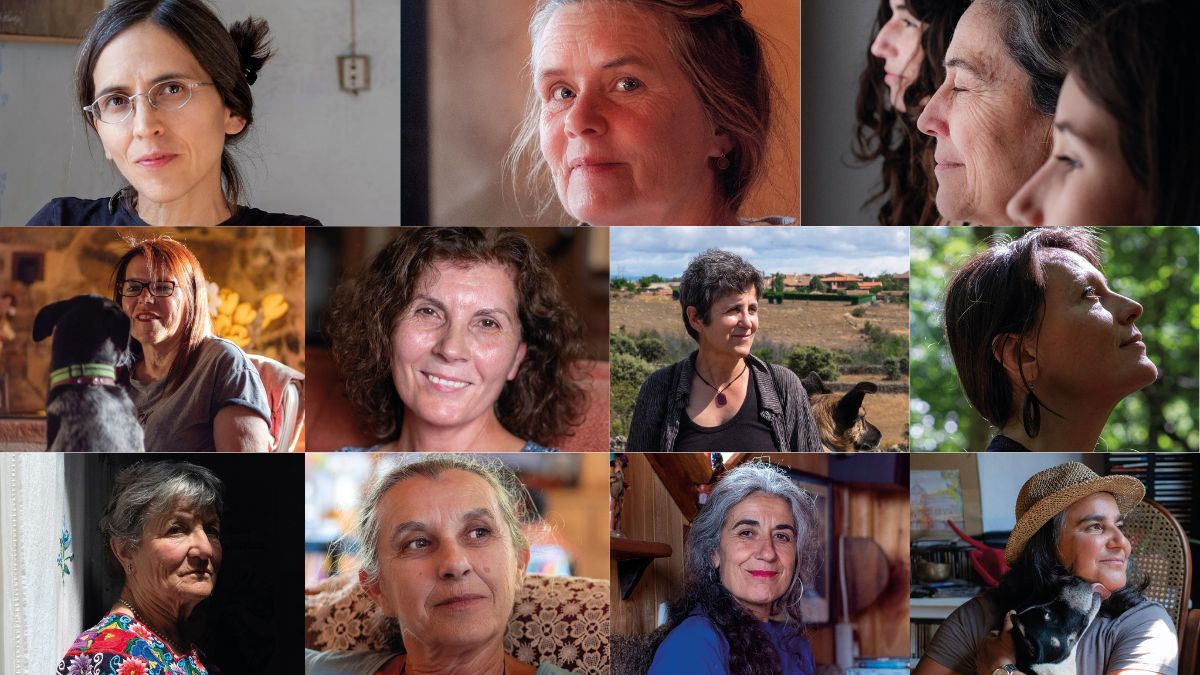 | PILO GALLIZO | PILO GALLIZO