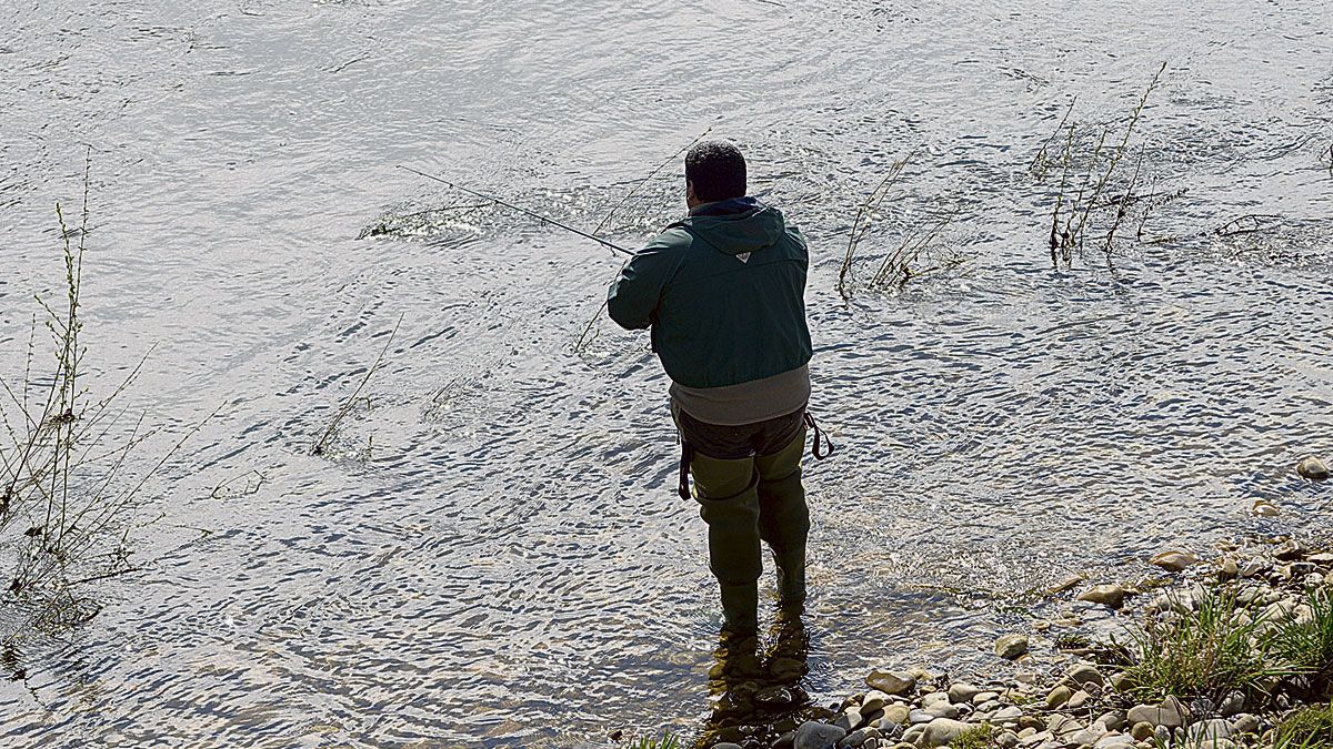 Imagen de un pescador en uno de los ríos de León. | MAURICIO PEÑA
