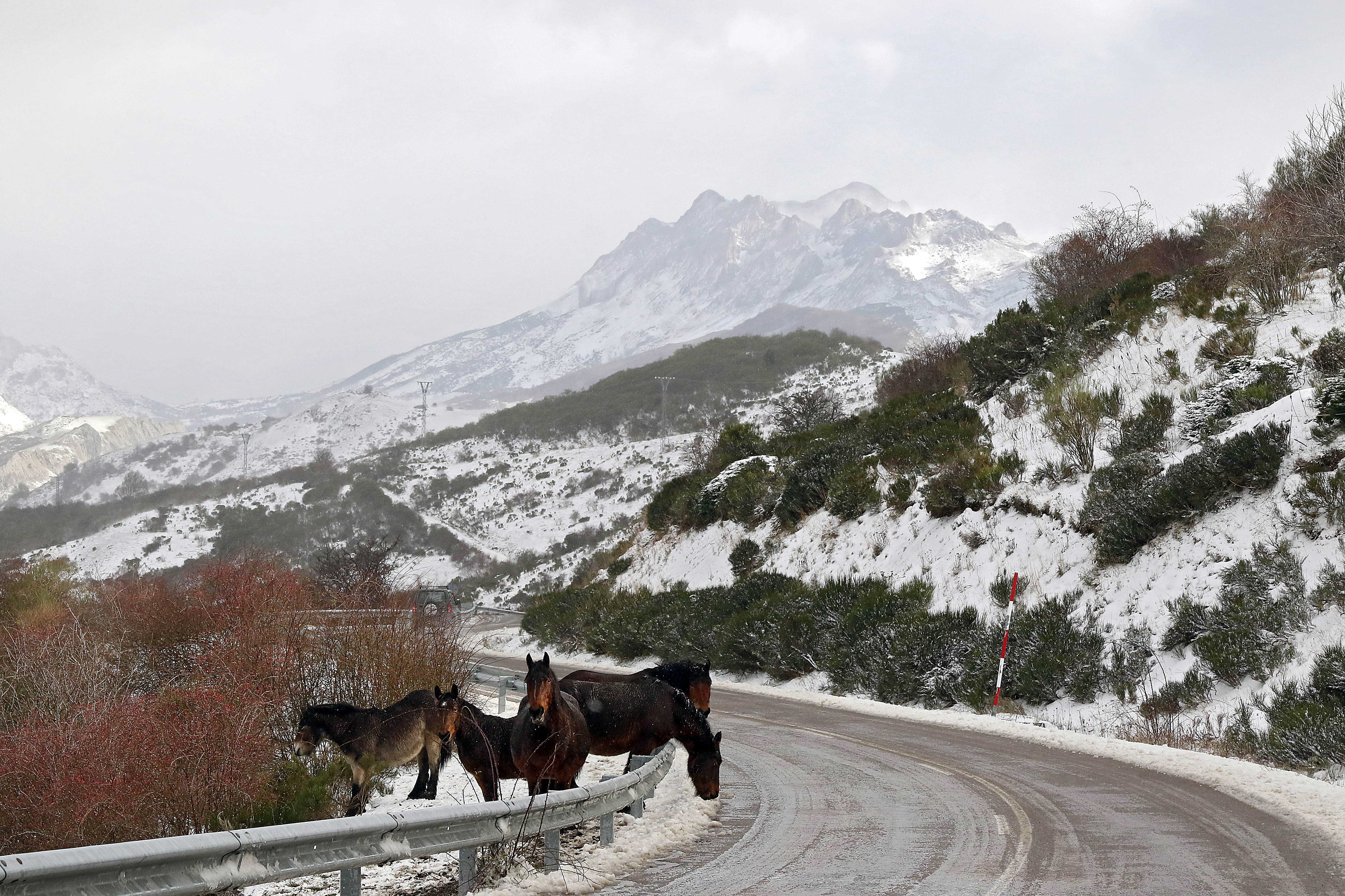 Nieve en el puerto de Pajares Nieve en el puerto de Pajares