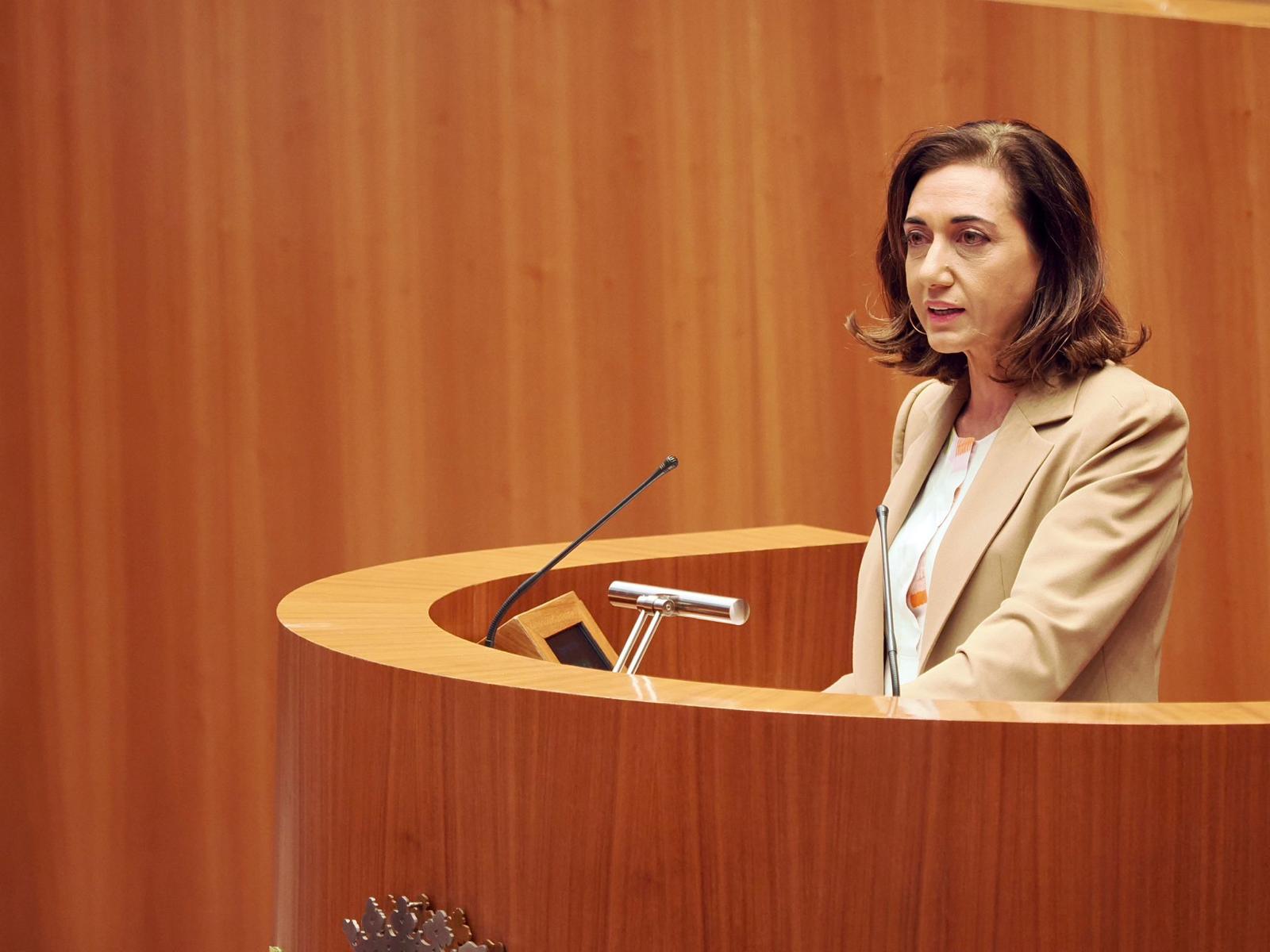 La procuradora de UPL, Alicia Gallego, durante una intervención en las Cortes.