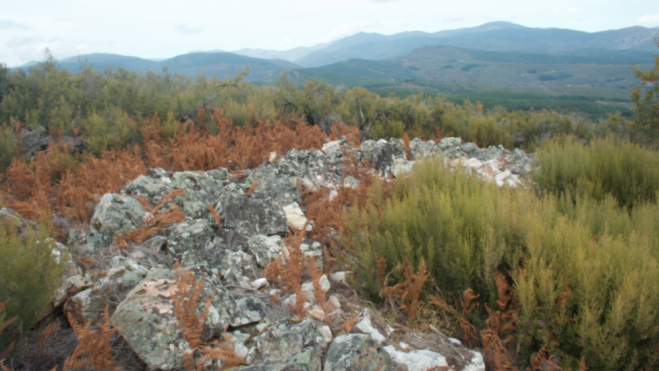 El castro de Peña Piñera, en la localidad de Sésamo, en Vega de Espinareda. El castro de Peña Piñera, en la localidad de Sésamo, en Vega de Espinareda.
