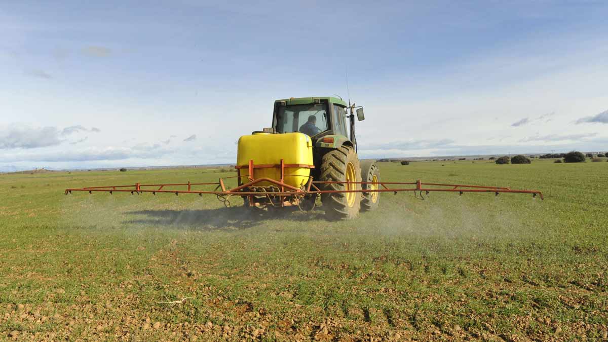 Desde noviembre de 2015 es obligatorio el carné para adquirir productos fitosanitarios. | DANIEL MARTÍN