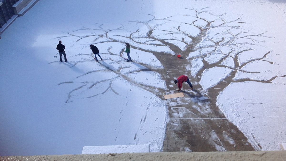 arbol-maristas.jpg