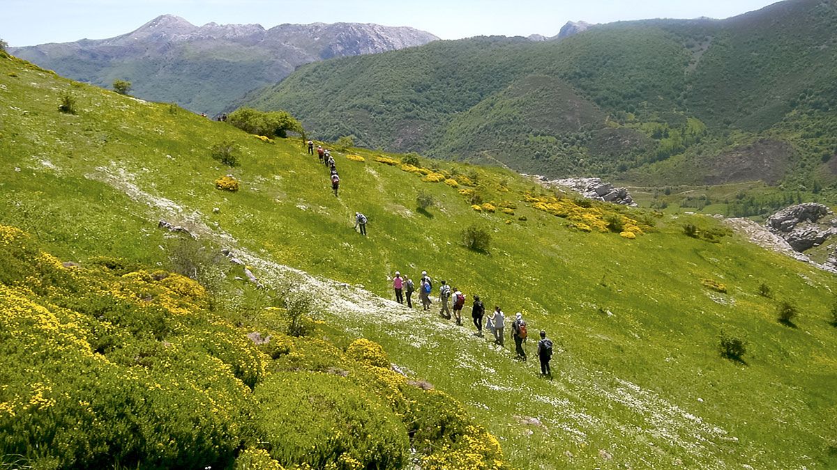 Vista de los alrededores del Pico Gallo. | VICENTE GARCÍA
