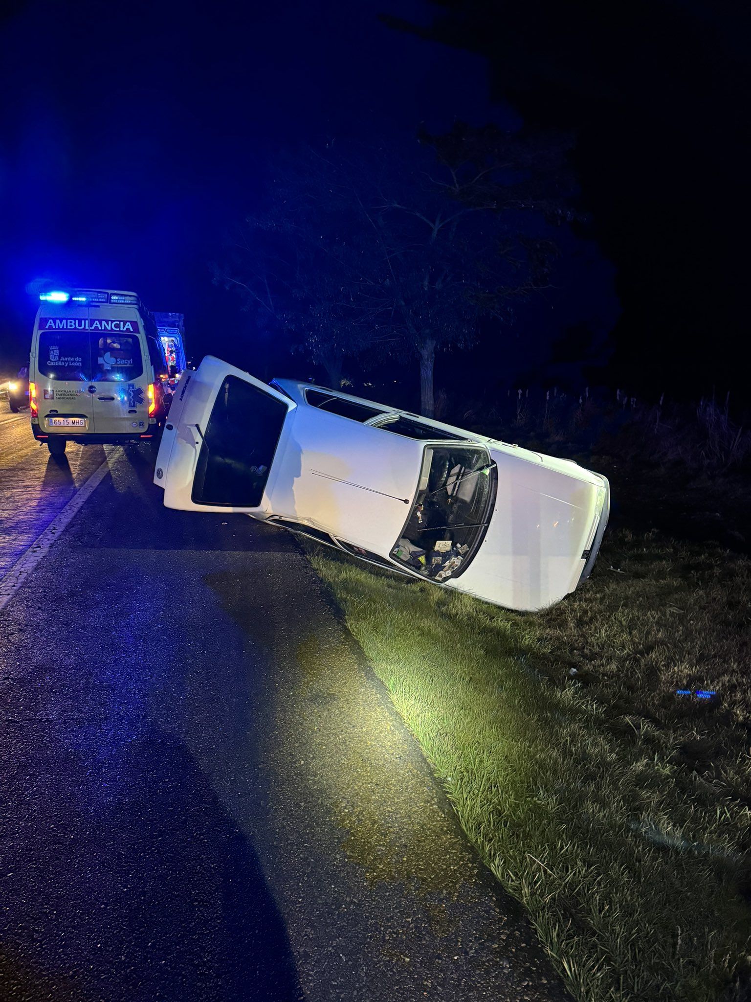 Vehículo accidentado en Villarejo de Órbigo tras chocar contra un caballo. | SEPEIS