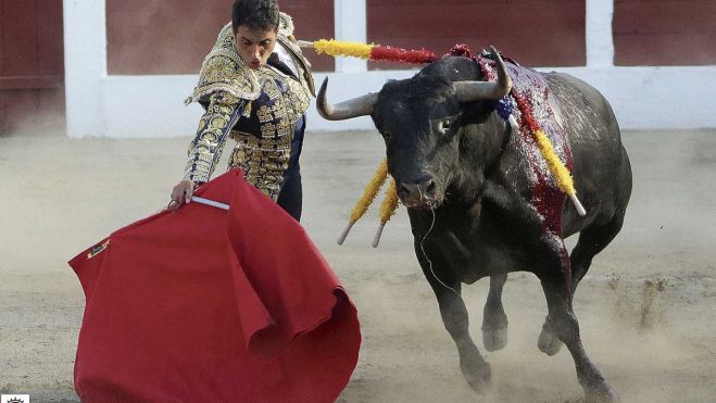 Javier Castaño, leonés de nacimiento, que pasó su infancia y adolescencia en Cistierna, se fue a Salamanca para cumplir su sueño de ser torero. | ÁLEX BLANCO Javier Castaño, leonés de nacimiento, que pasó su infancia y adolescencia en Cistierna, se fue a Salamanca para cumplir su sueño de ser torero. | ÁLEX BLANCO