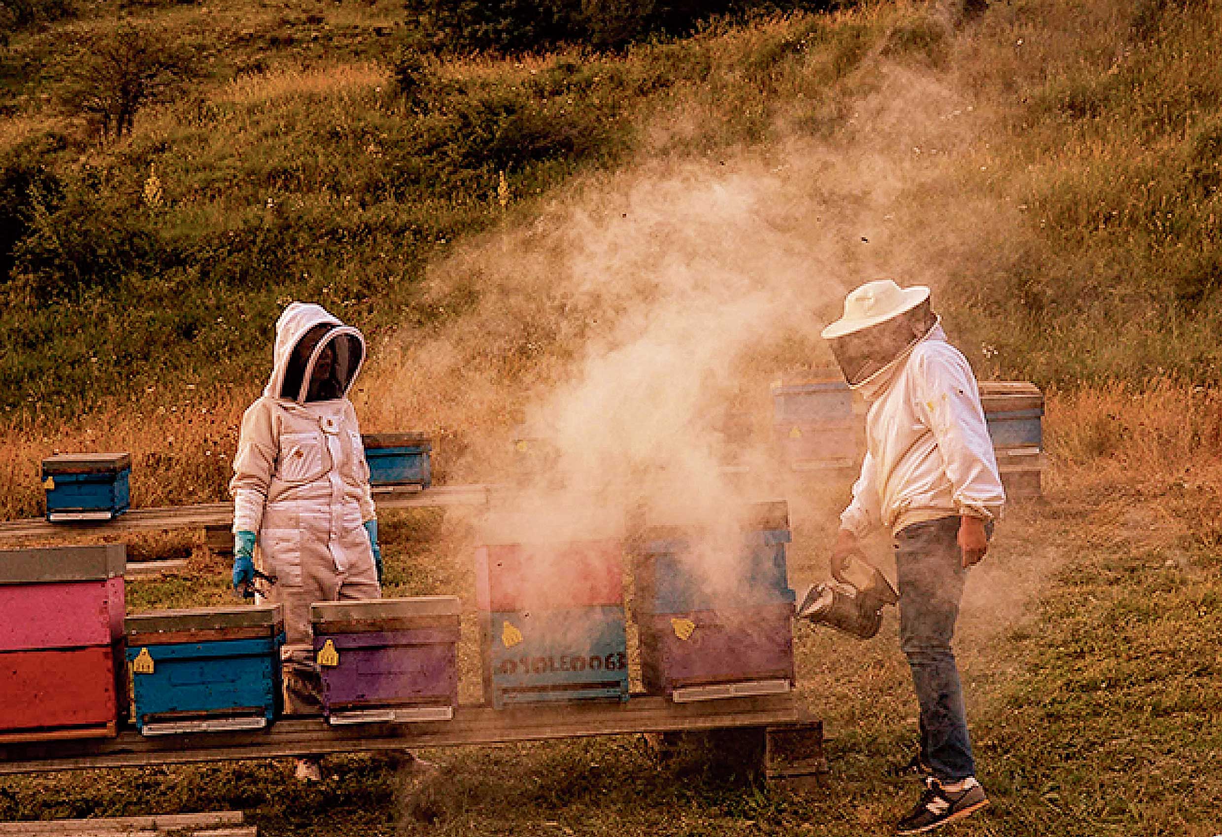 Imagen miel la cazurra