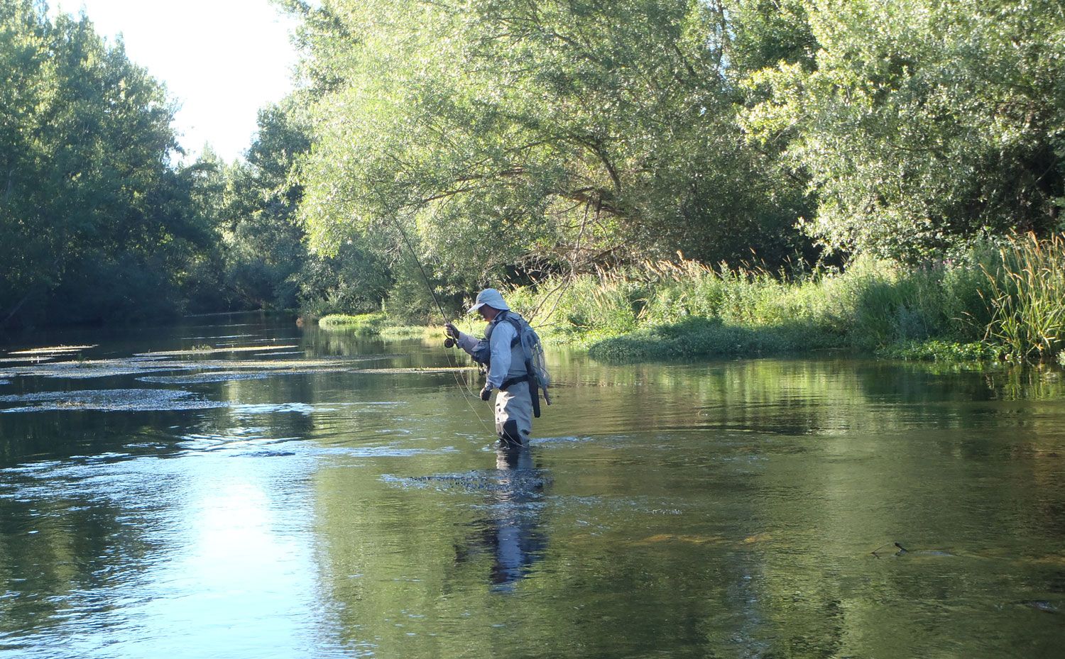 Un pescador, en uno de los ríos de la provincia. R.P.N