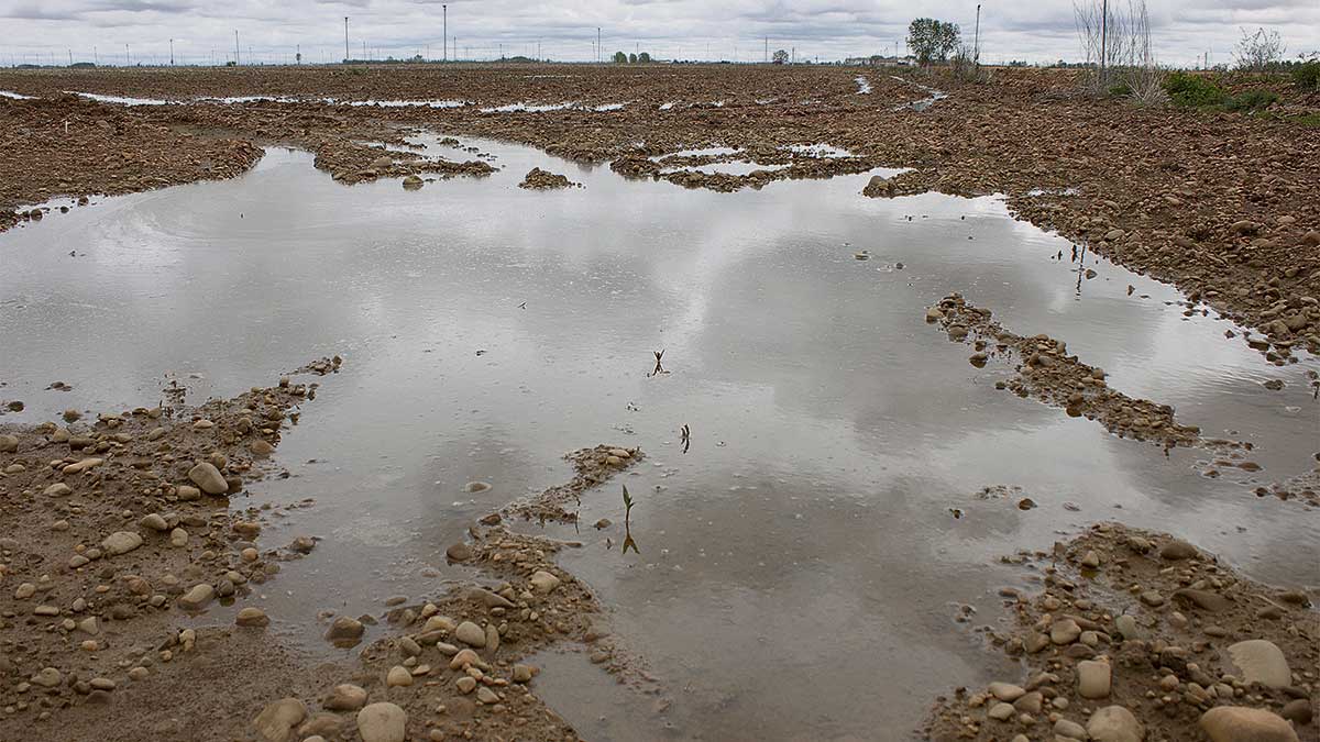 Imagen de una parcela anegada en el bajo Páramo después de las intensas y persistentes lluvias que se están registrando en el presente año. | TERESA GIGANTO