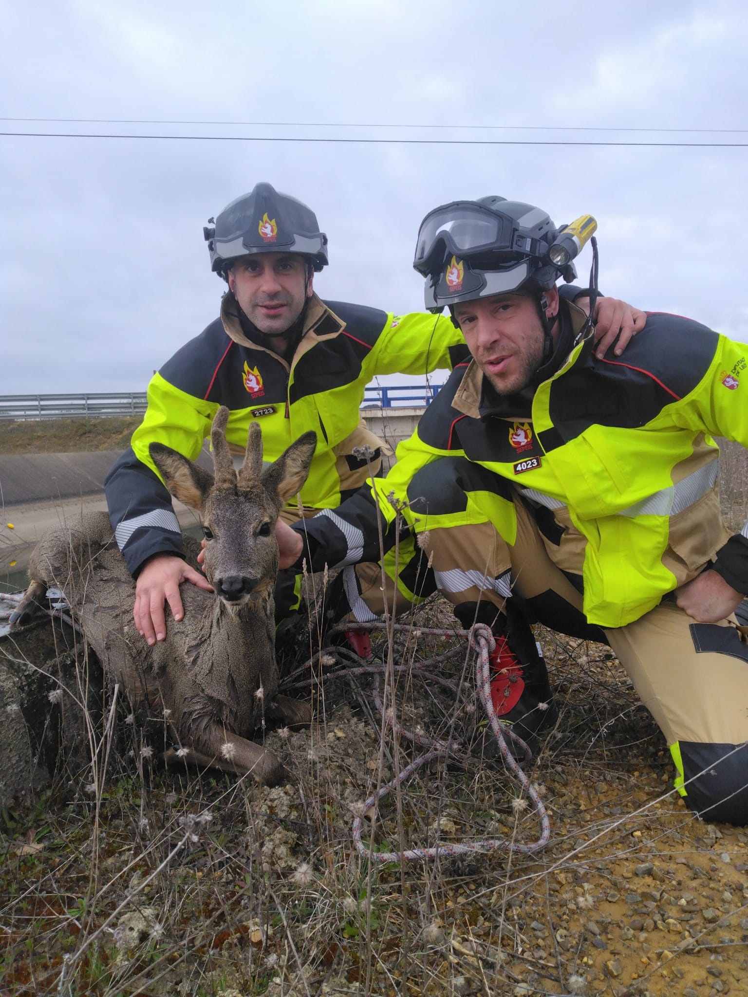 Los bomberos, junto al corzo rescatado.