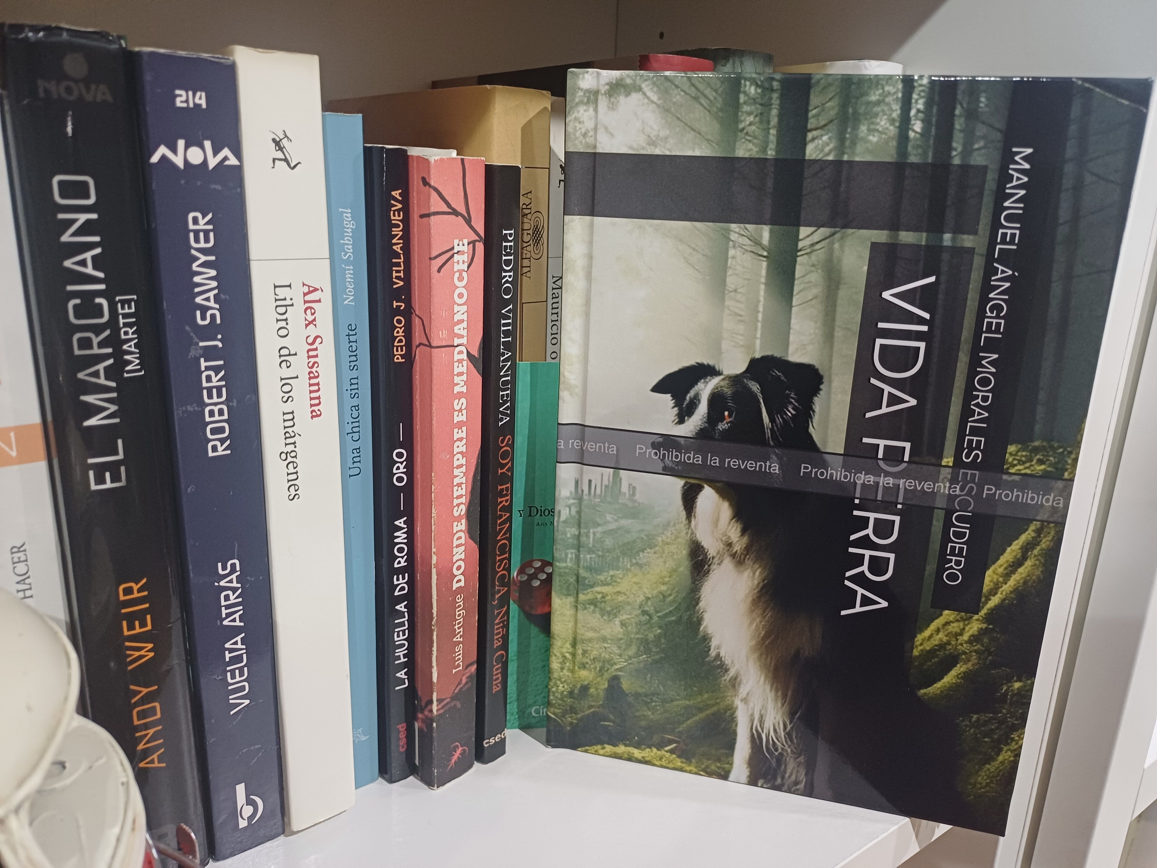 Portada del libro protagonista en la estantería de Ruy. 