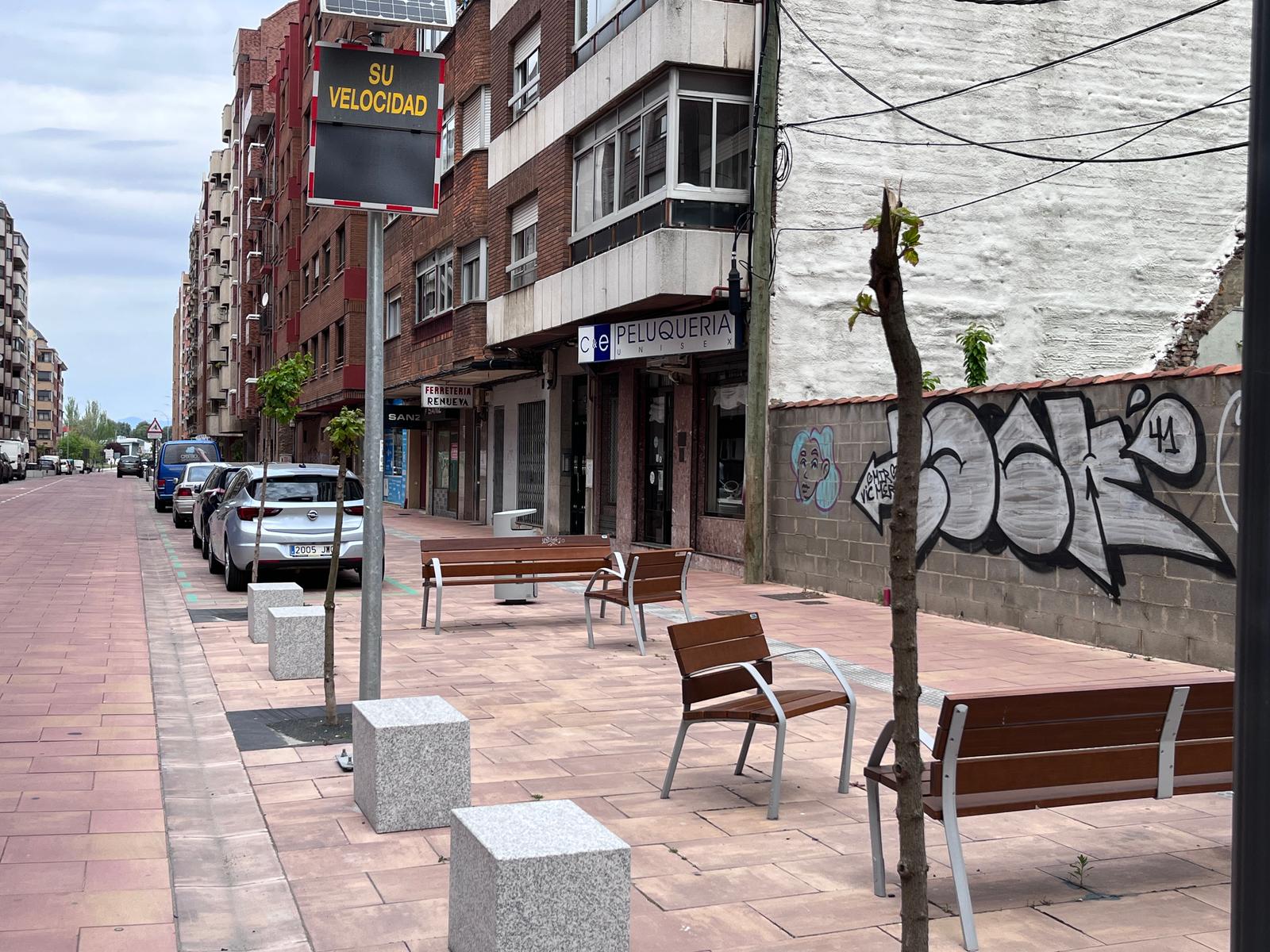 Estado en el que quedó uno de los árboles del tramo final de Padre Isla. | SAÚL ARÉN